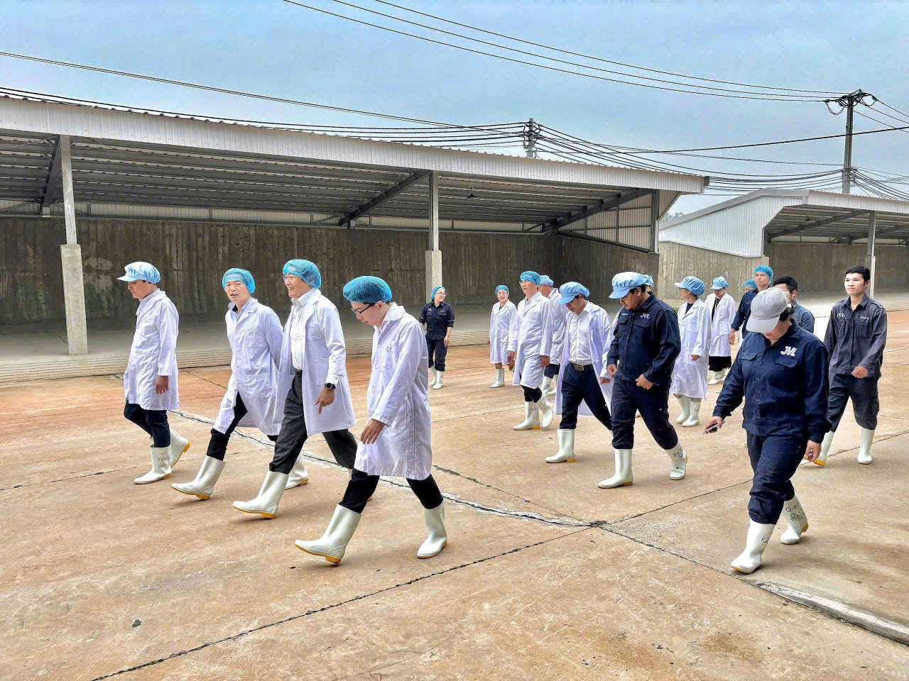 Đại sứ Đặc mệnh toàn quyền Nhật Bản tại Việt Nam và lãnh đạo tỉnh Vĩnh Phúc thăm và làm việc tại Tổ hợp Trang trại - Nhà máy chế biến thịt bò JVL Tam Đảo