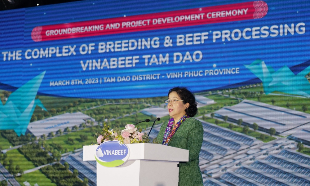 Tổ hợp Vinabeef Tam Đảo - “Làn gió mới” của thị trường thịt bò Việt Nam